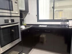 Blk 1A The Pinnacle@Duxton (Bukit Merah), HDB 4 Rooms #548570751